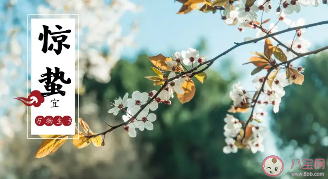 惊蛰读音zhi还是zhe 惊蛰的拼音怎么读