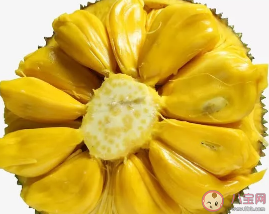 菠萝蜜怎么看熟不熟 菠萝蜜要怎么挑选