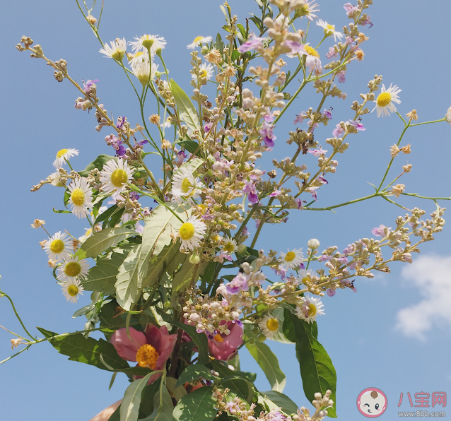 关于穷游的经历是什么样的 去穷游是一种什么样的体验