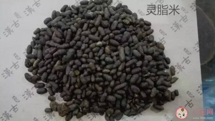 什么是五灵脂呢 以及五灵脂有什么作用呢