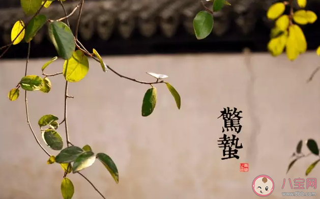 春天惊蛰相关的诗句 惊蛰节气的诗词句子2020