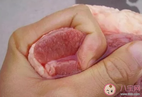好猪肉坏猪肉怎么区分  猪肉怎么炒才嫩