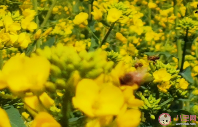 群聊到底有什么用 群聊是用来干嘛的