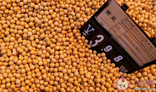 玉米价格为什么大涨 玉米价格何时恢复正常 玉米价格为什么大涨 玉米价格何时恢复正常