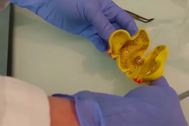 孩子的洗澡玩具发霉怎么办好 怎么清洗孩子的洗澡玩具 孩子的洗澡玩具发霉怎么办好 怎么清洗孩子的洗澡玩具