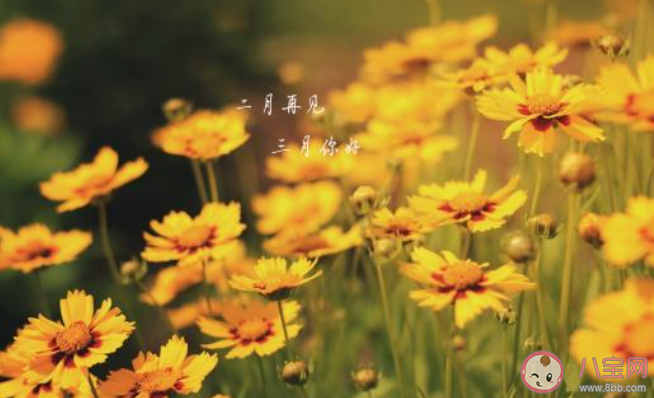 2月最后一天的心情句子 2020二月再见了的心情文案说说