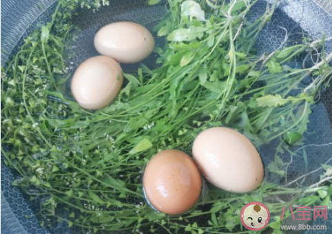在三月三吃荠菜煮鸡蛋有什么功效 荠菜煮鸡蛋有哪些营养价值 在三月三吃荠菜煮鸡蛋有什么功效 荠菜煮鸡蛋有哪些营养价值