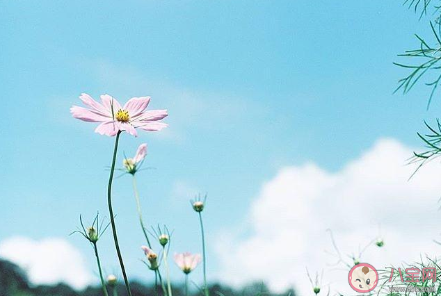 2020五月最后一天的朋友圈文案句子 五月最后一天的正能量励志句子 2020五月最后一天的朋友圈文案句子 五月最后一天的正能量励志句子