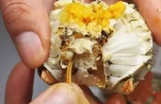 螃蟹哪些部位不能吃图解 螃蟹怎么吃图解