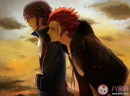 abo小说文是什么意思 abo文是怎样的角色设定 abo小说文是什么意思 abo文是怎样的角色设定