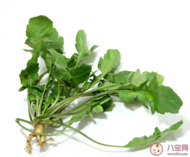 吃野菜更营养健康吗 食用野菜安全注意事项