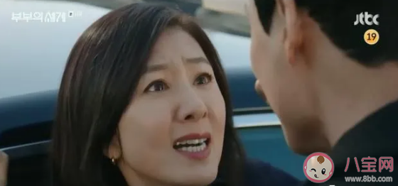 夫妻的世界大结局是什么  如何评价夫妻的世界这部电视剧