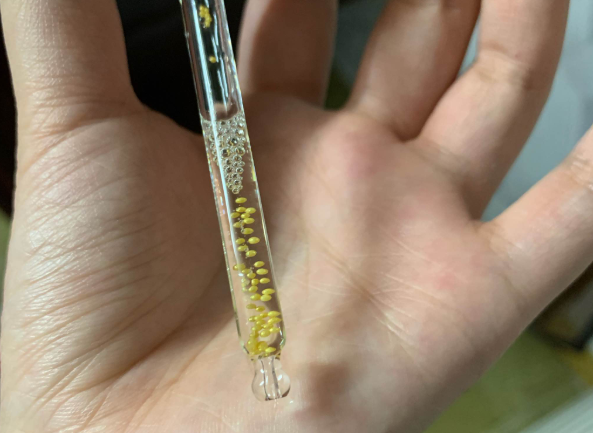 娇兰黄金复原蜜适合冬天用吗 娇兰黄金复原蜜什么适合人群 娇兰黄金复原蜜适合冬天用吗 娇兰黄金复原蜜什么适合人群