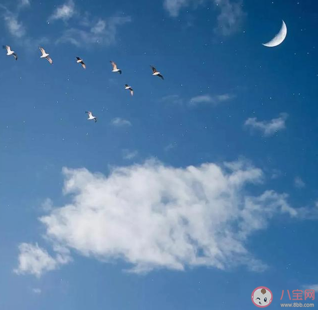 怎么用长大了才知道造句 长大了才知道造句大全