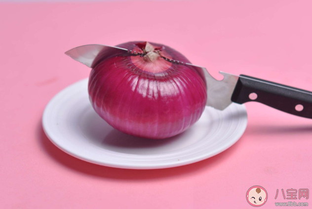 新手铲屎官要了解的猫咪食物清单 猫咪完全不能吃的东西有哪些 新手铲屎官要了解的猫咪食物清单 猫咪完全不能吃的东西有哪些