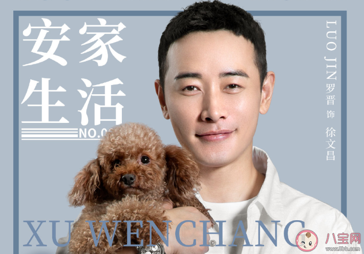 电视剧安家是翻拍的日剧吗 安家的原著小说是什么