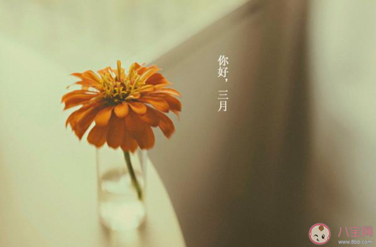 三月第一天的朋友圈说说 三月第一天你好的朋友圈说说句子