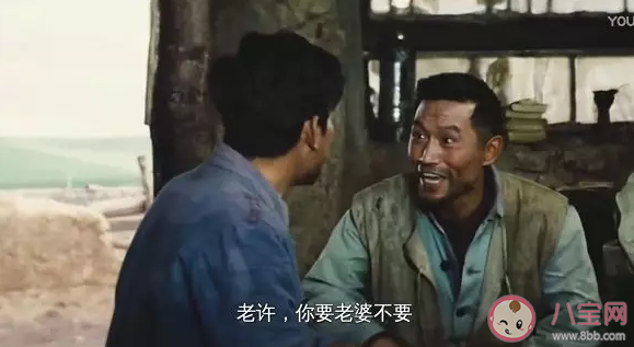 老许你要老婆不要是什么电影 老许你要老婆不要是什么梗