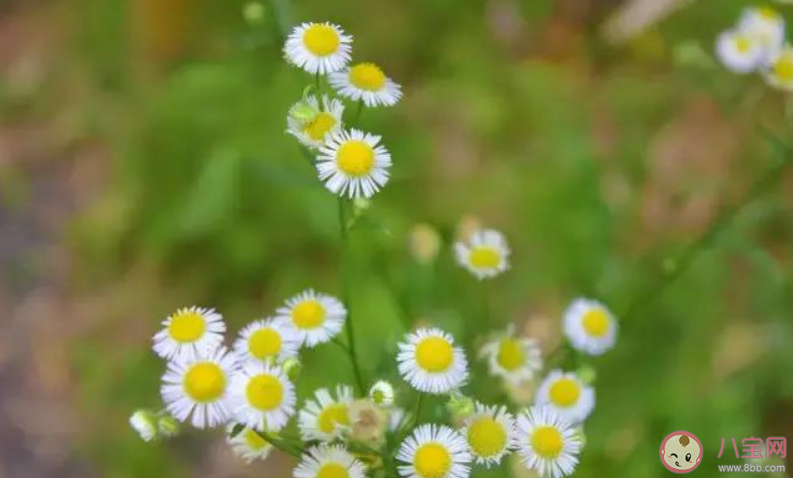 适合疫情结束发的朋友圈文案句子2020 疫情结束发朋友圈的文案大全