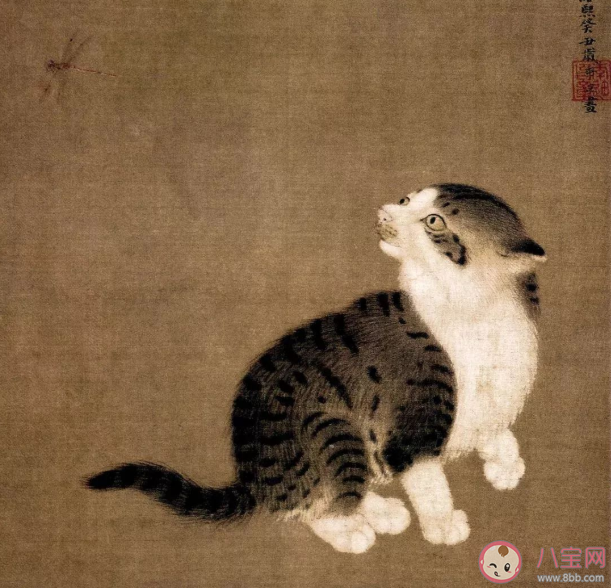 陆游我与狸奴不出门中狸奴指什么 蚂蚁庄园4月21日正确答案