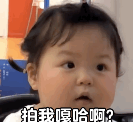微信拍一拍表情包高清无水印图片大全 别拍了别拍了搞笑表情包合集