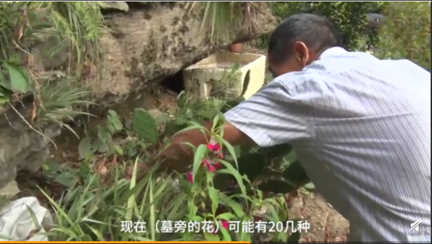 老人守墓十年陪亡妻生死不弃 老人十年墓边守候亡妻风雨相伴