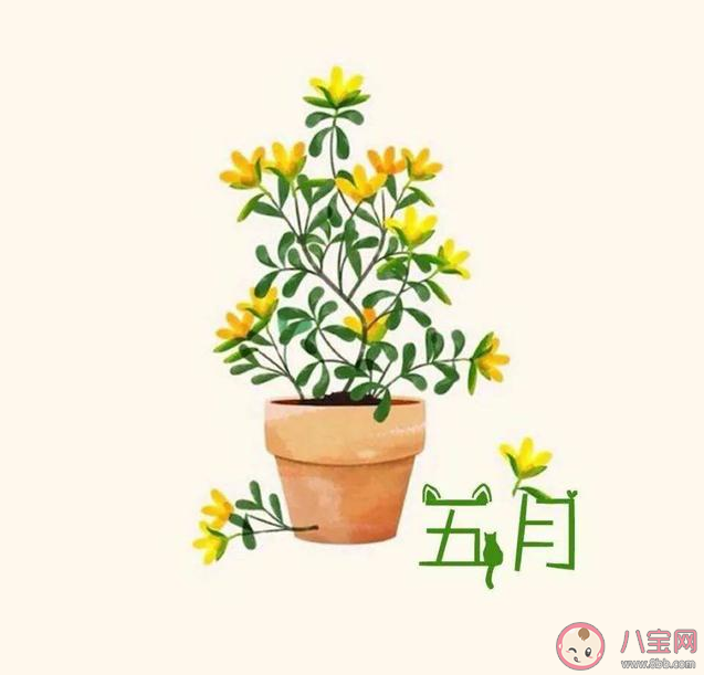 2020五月最后一天的朋友圈文案句子 五月最后一天的正能量励志句子 2020五月最后一天的朋友圈文案句子 五月最后一天的正能量励志句子