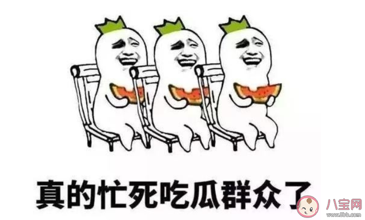 一瓜未平一瓜又起是什么意思什么梗 一瓜未平一瓜又起含义解释