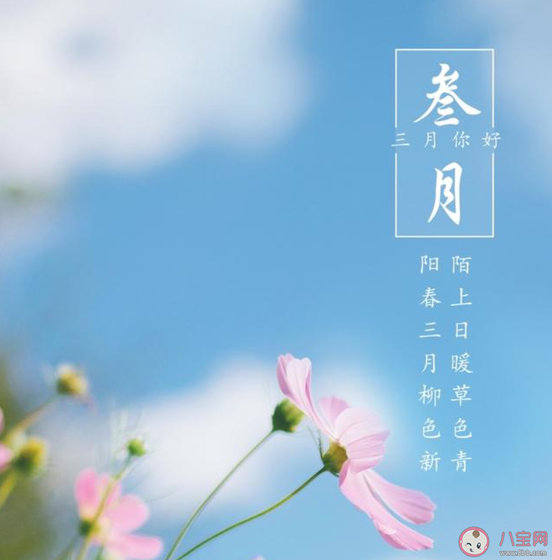 二月最后一天的朋友圈说说 适合二月最后一天的朋友圈句子