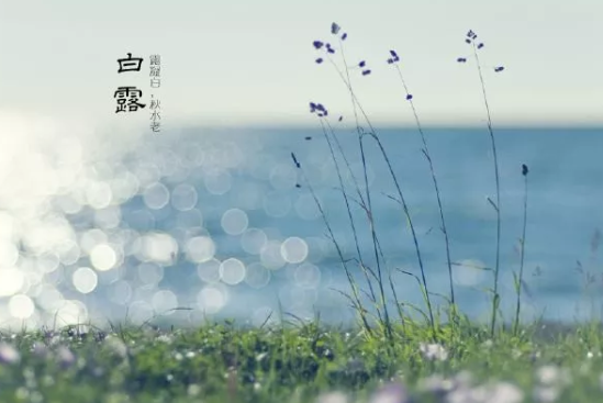 白露后吃什么养生窍门 白露后的养生方法