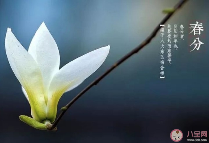 2020今日春分心情文案说说 今日春分发朋友圈唯美句子