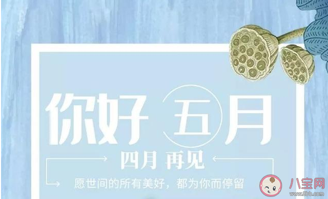 四月再见五月你好朋友圈文案说说大全 四月再见五月你好朋友圈文案句子