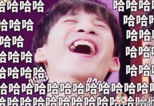 抖音内个内个内个内是什么歌 《阳光彩虹小白马》完整歌词相关介绍 抖音内个内个内个内是什么歌 《阳光彩虹小白马》完整歌词相关介绍