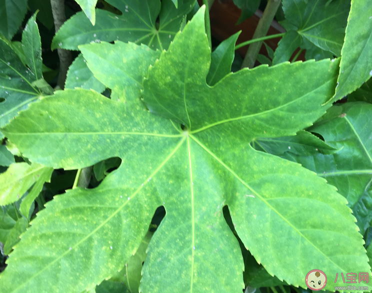 想一觉睡到天亮的说说朋友圈 想一觉睡到天亮发什么好