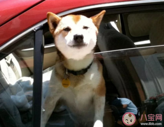 停车车窗留个缝可以吗  夏天停车车窗要开一点缝吗