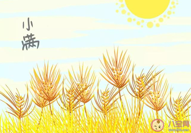 520和小满同一天的朋友圈说说 小满遇见520的朋友圈文案句子