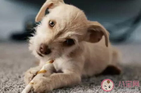 当代成年人的三大错觉是什么 成年人的三大错觉介绍