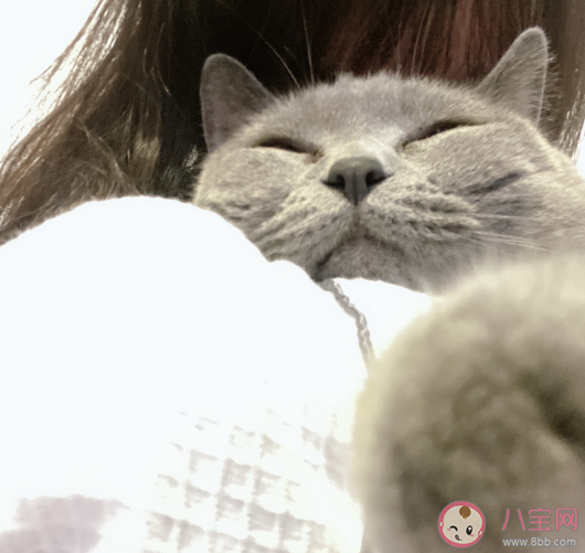 发表吃薯片的说说 吃薯片发朋友圈说说 发表吃薯片的说说 吃薯片发朋友圈说说