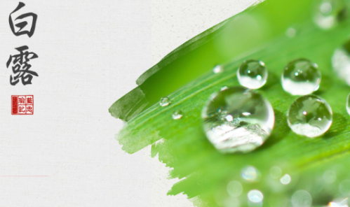 白露吃什么传统食物好 白露节气传统食物推荐