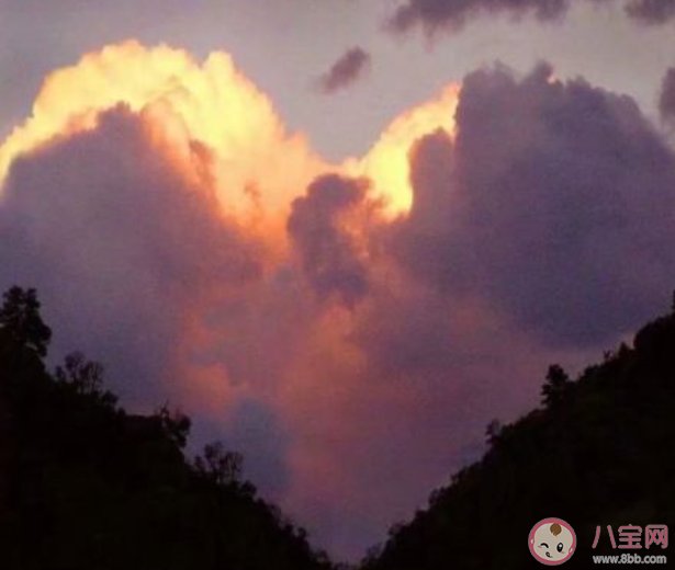 得不到才是最好的你是如何理解的 得不到才是最好的是什么意思 得不到才是最好的你是如何理解的 得不到才是最好的是什么意思