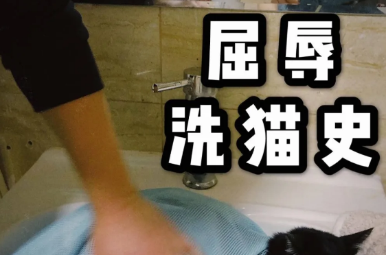 如果能和宠物谈话一小时 你会说些什么