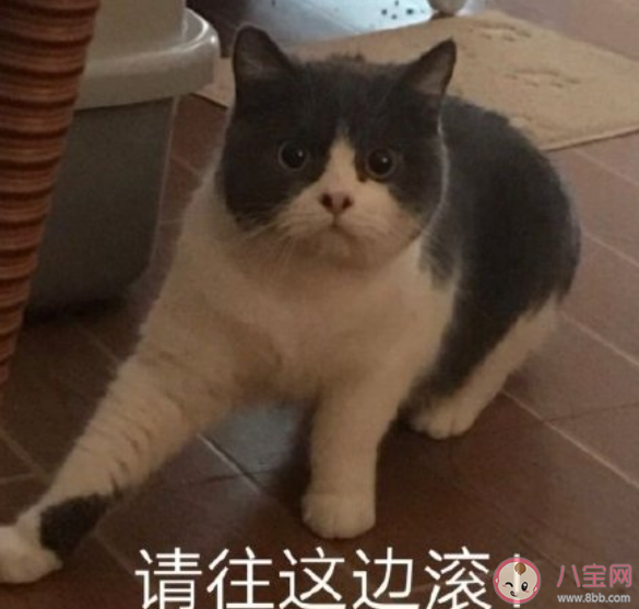 怼人发挥最好的一次经历是什么 怼人发挥最好的时候是什么感受 怼人发挥最好的一次经历是什么 怼人发挥最好的时候是什么感受