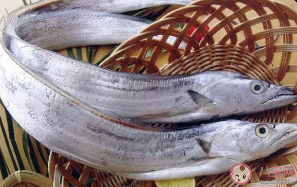 带鱼可以养殖吗 带鱼能不能人工养殖 带鱼可以养殖吗 带鱼能不能人工养殖