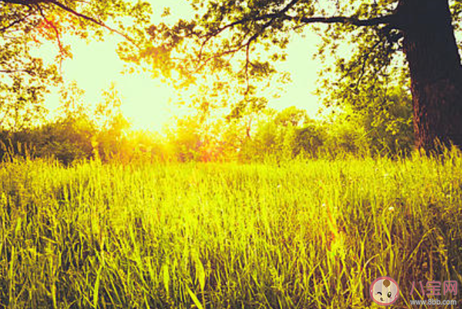 2020天气回暖的心情文案句子 天气暖和起来了的心情说说 2020天气回暖的心情文案句子 天气暖和起来了的心情说说