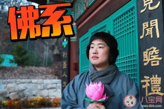 佛系追星分为哪几类 佛系追星是怎样的