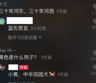 蓝氏禁言的梗是什么意思 蓝氏禁言出自哪里