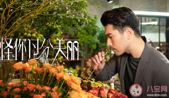 怪你过分美丽是高以翔最后一部剧吗 怪你过分美丽剧情内容介绍