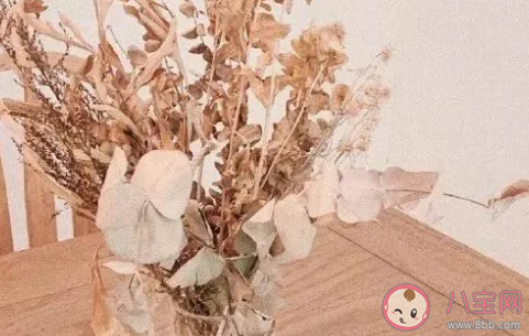 2020成年人的六一文案 六一搞笑幽默句子