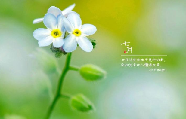 2020七月你好的优美文案说说短句 2020七月你好的朋友圈美好说说