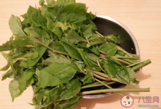 香菜根煮水对湿疹有用吗 香菜根熬水喝有什么功效 香菜根煮水对湿疹有用吗 香菜根熬水喝有什么功效